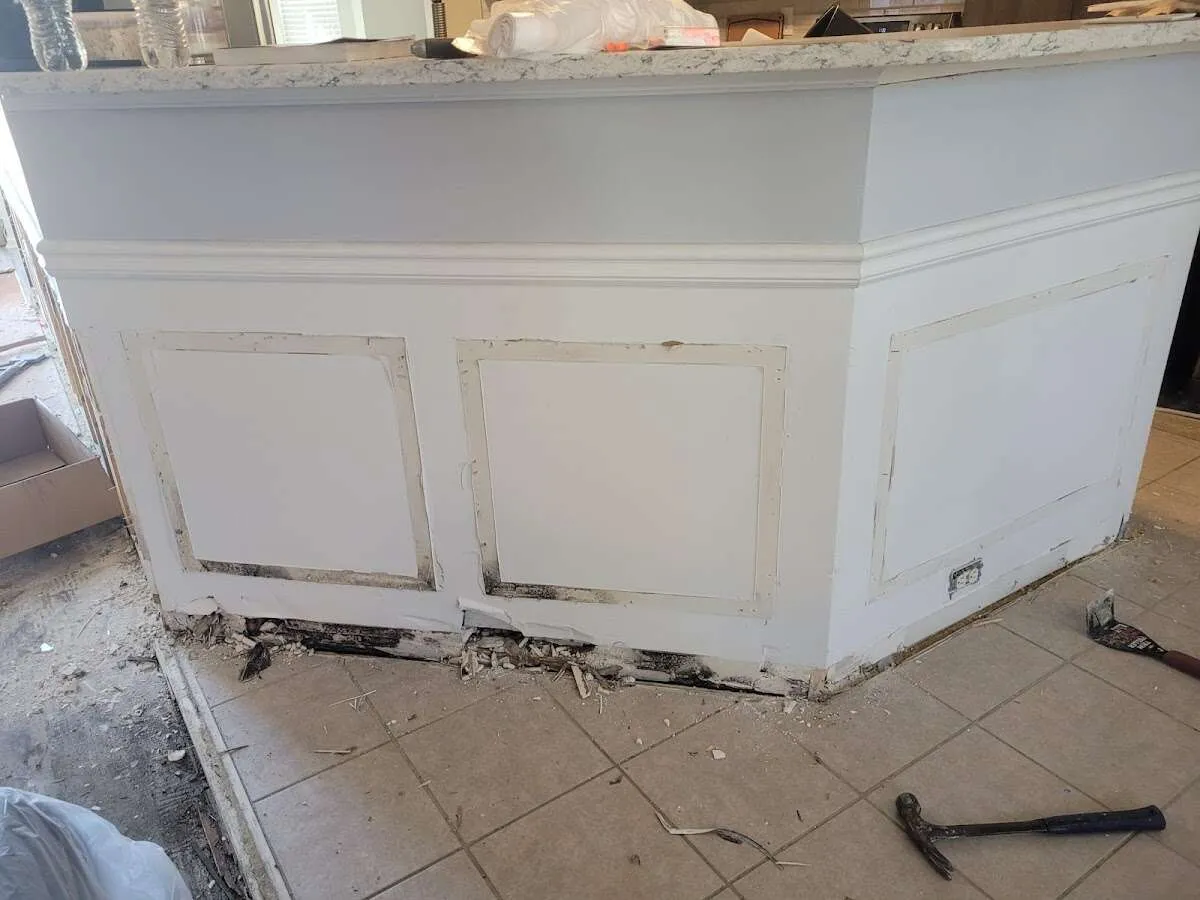 Water damage and mold on kitchen during Sewage Cleanup & Sanitation in North Lebanon
